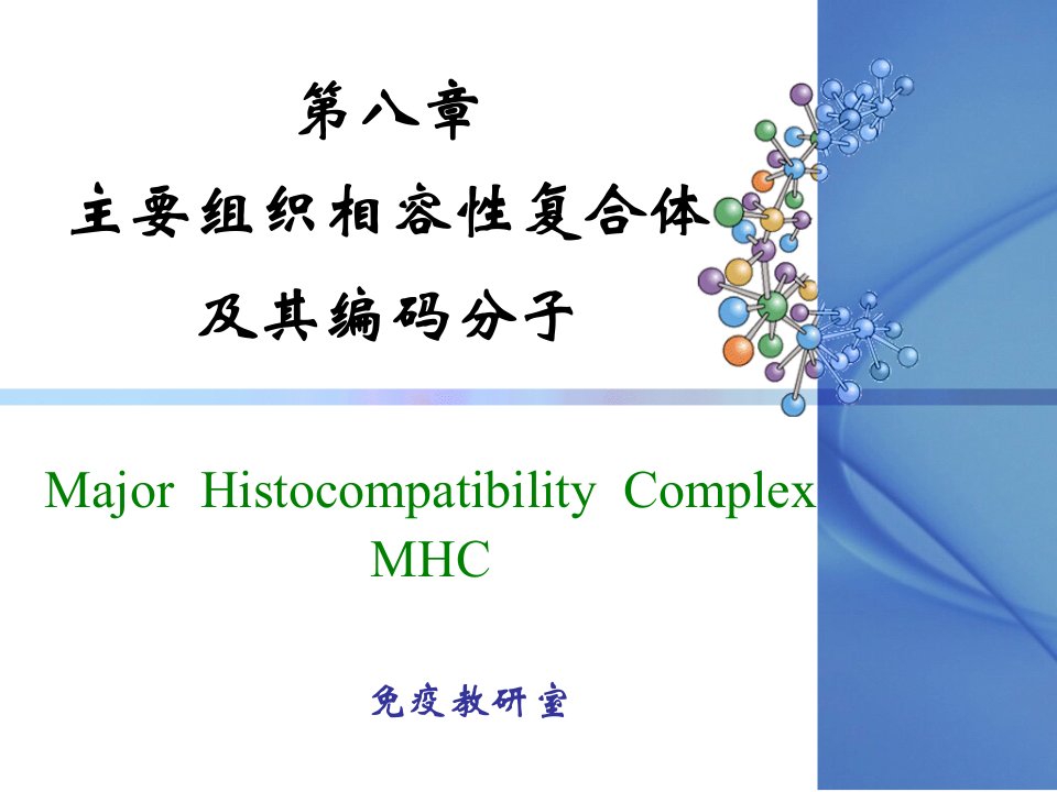 [免疫学]MHC主要组织相容性复合体及其编码分子