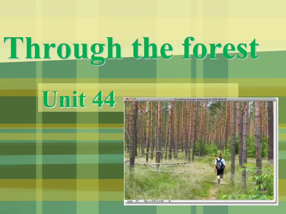 新概念二Unit44Throughtheforest课文讲解