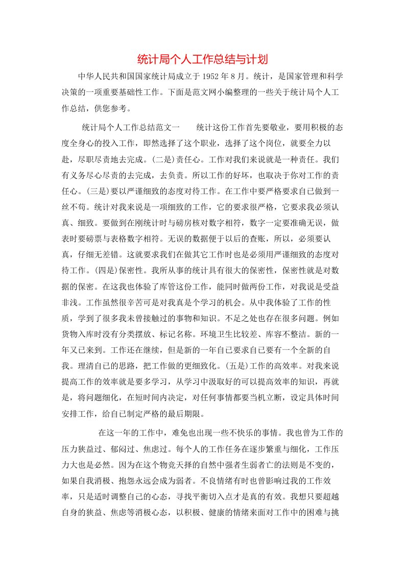 统计局个人工作总结与计划