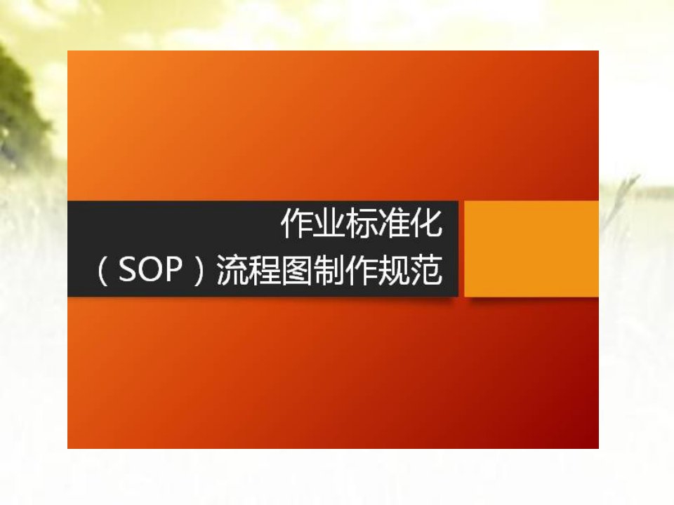 标准作业流程sop培训