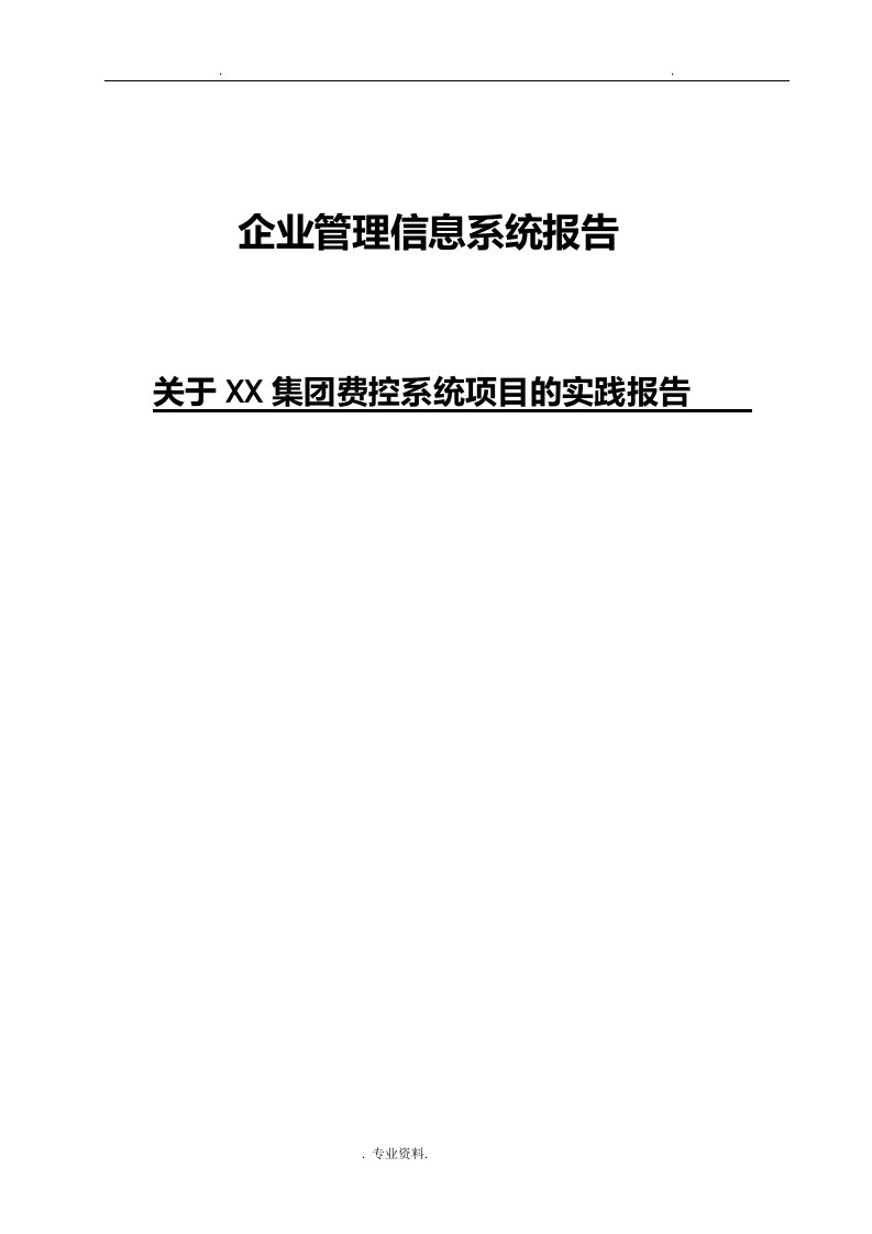 企业管理信息系统报告