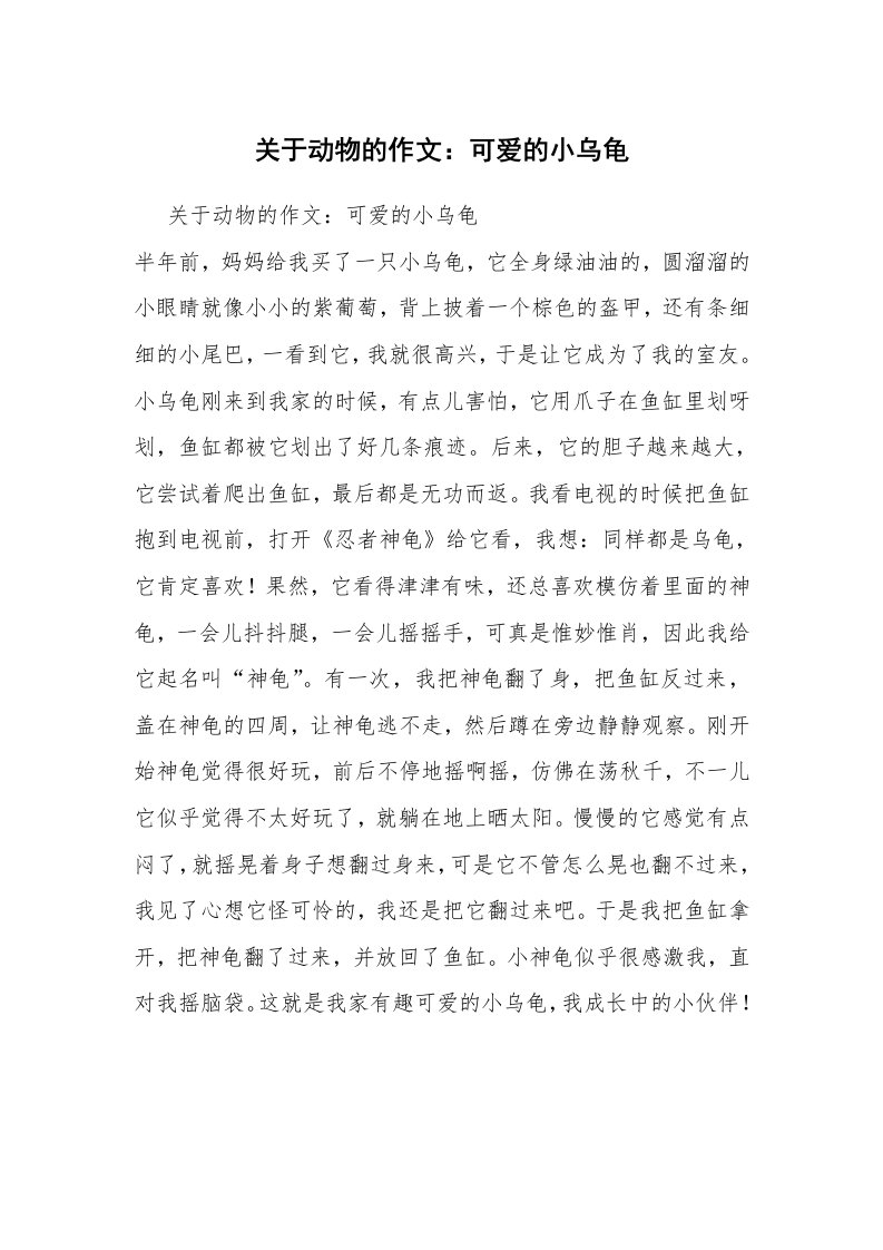 关于动物的作文：可爱的小乌龟_1