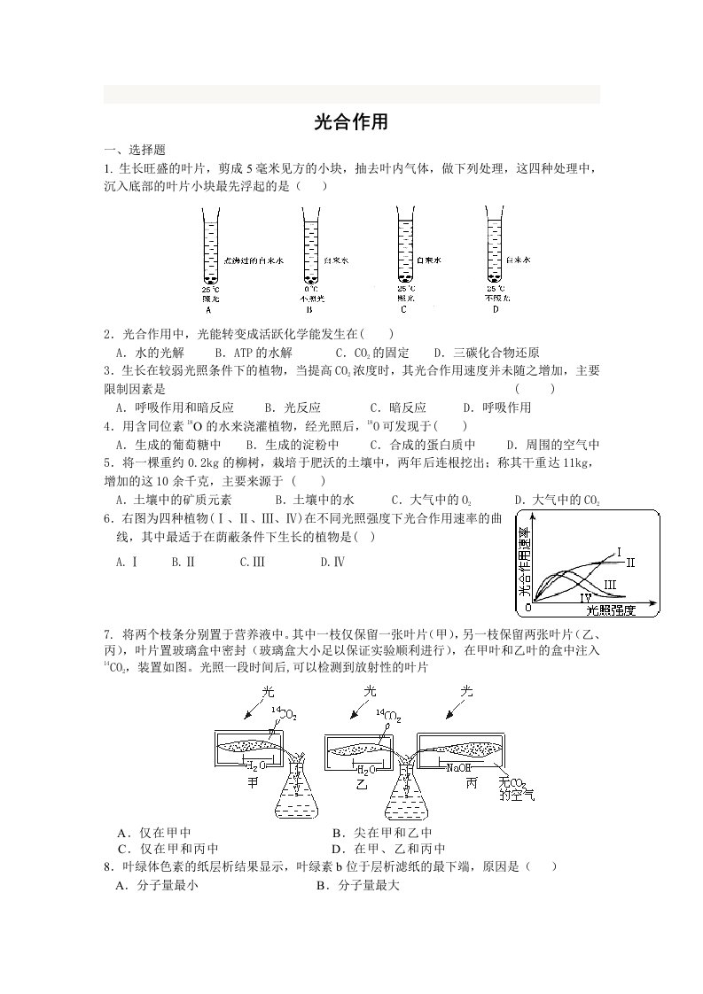 高三生物光合作用练习题及答案