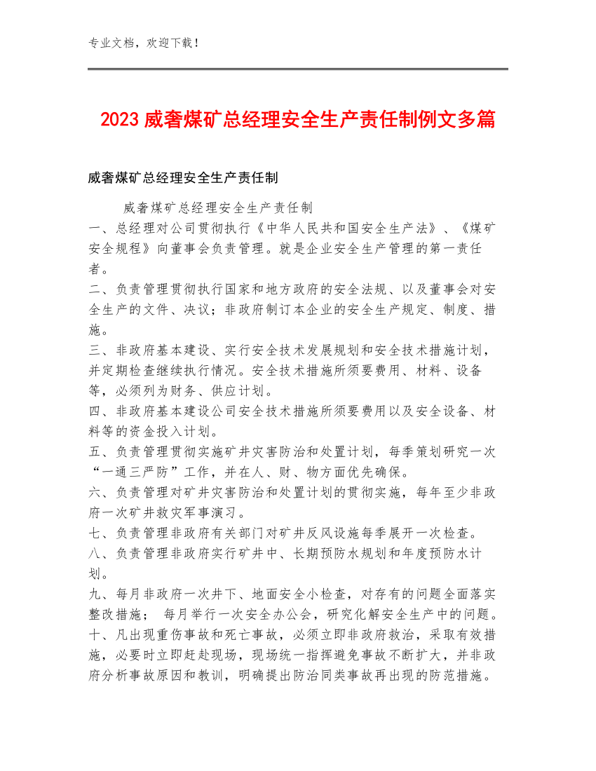 2023威奢煤矿总经理安全生产责任制例文多篇