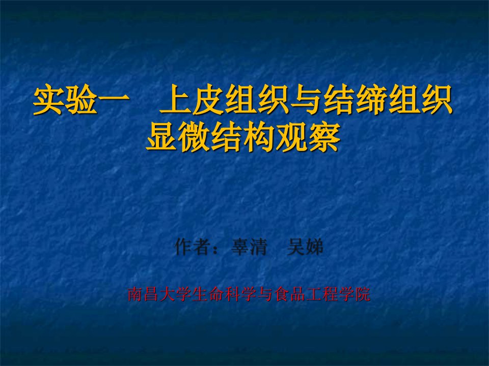 实验一上皮组织与结缔组织显微结构观察