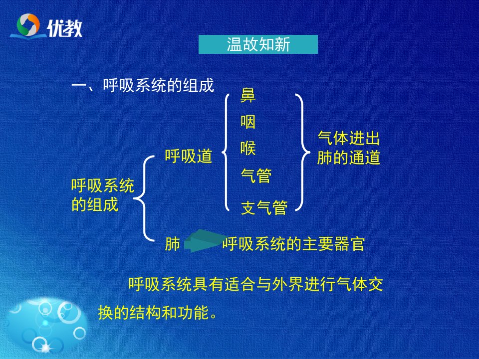 发生在肺内的气体交换-PPT文档