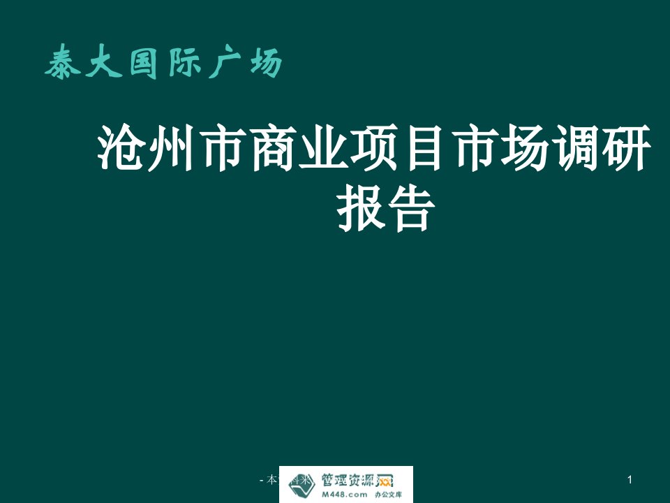 泰大国际广场沧州市商业项目市场调研报告PPT-市场调研