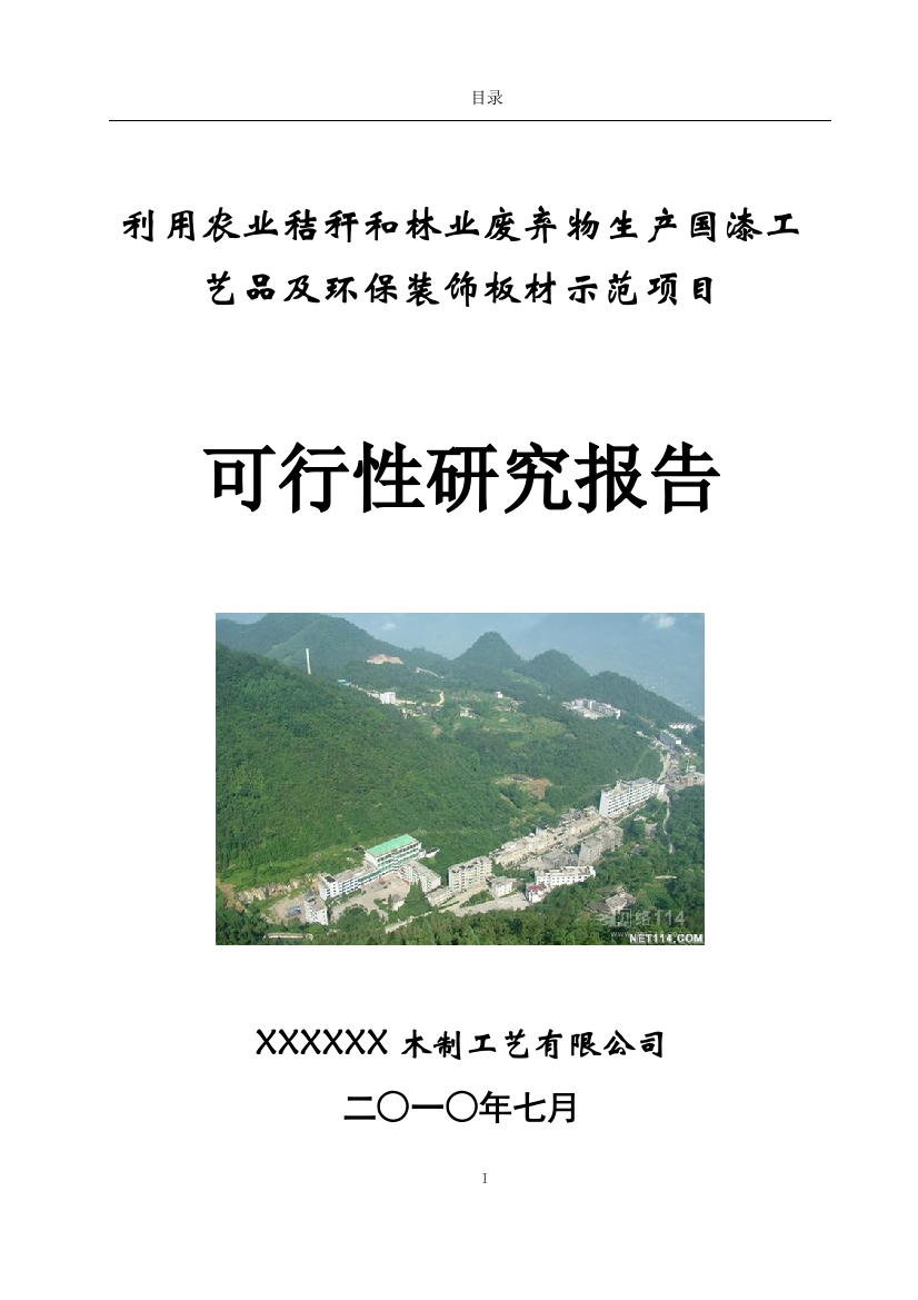 利用农作物秸秆林废弃物年产16万套国漆工艺品及120万平方米工艺装饰板材改扩建项目备案可研资金申请计划书