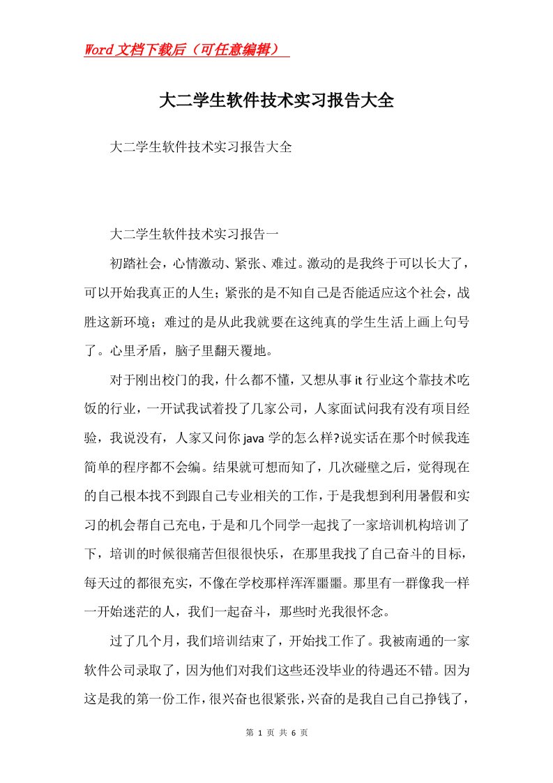 大二学生软件技术实习报告大全