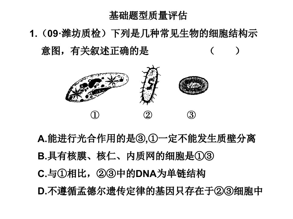 基础题型质量评估