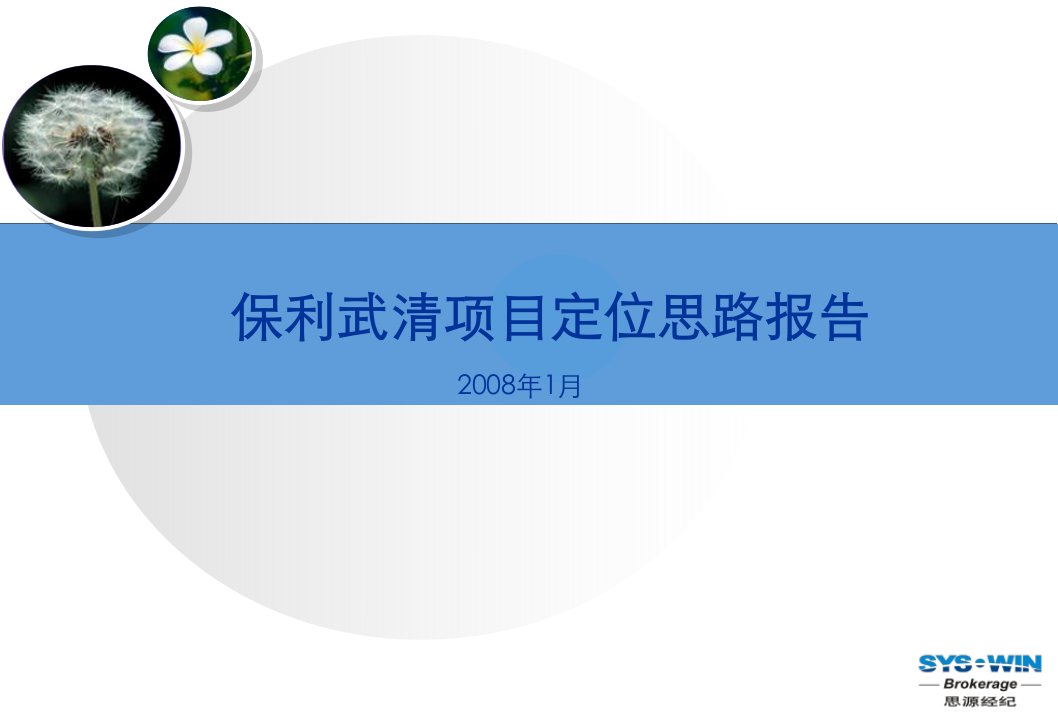 思源地产天津武清保利房地产项目营销定位报告