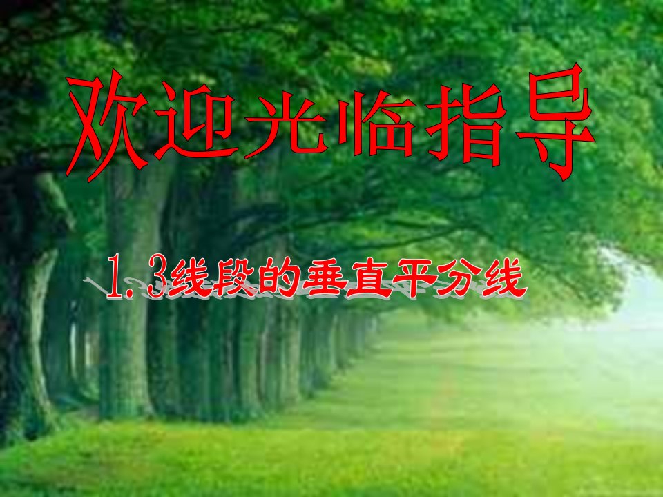 【北师大版】数学八年级下册课件：第一章直角三角形5