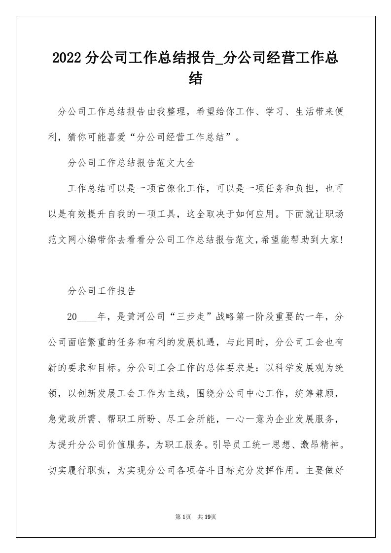 2022分公司工作总结报告_分公司经营工作总结