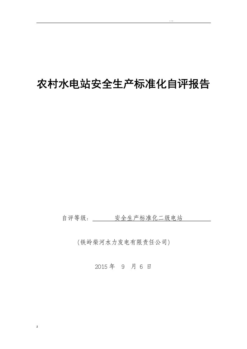 电站安全生产标准化工作计划总结