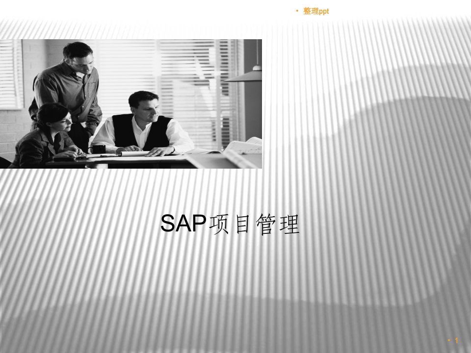 sap工程项目管理解决方案