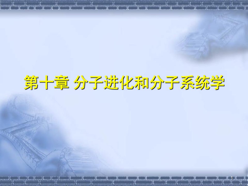 厦门大学进化生物学第10章分子进化和分子系统学