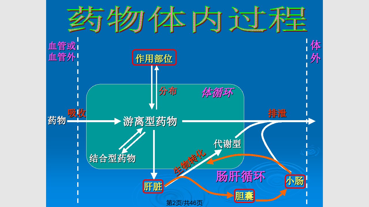 药理学药动学