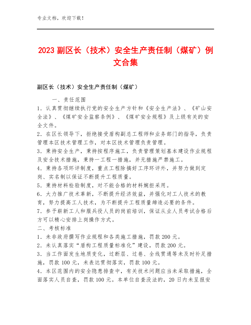 2023副区长（技术）安全生产责任制（煤矿）例文合集