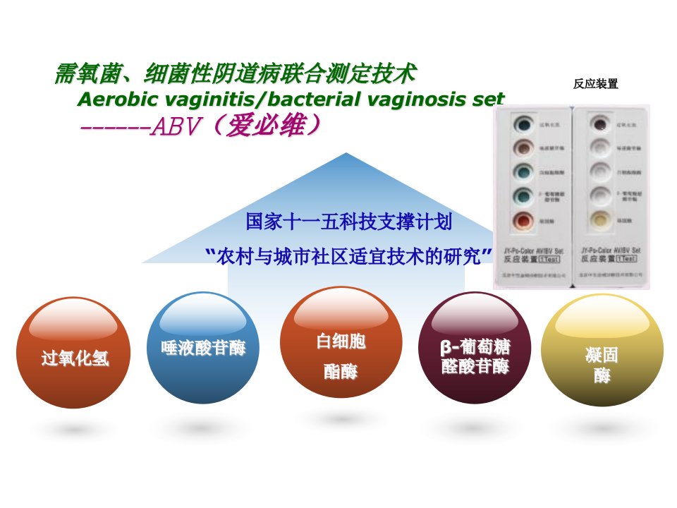 ABV检测技术PPT课件