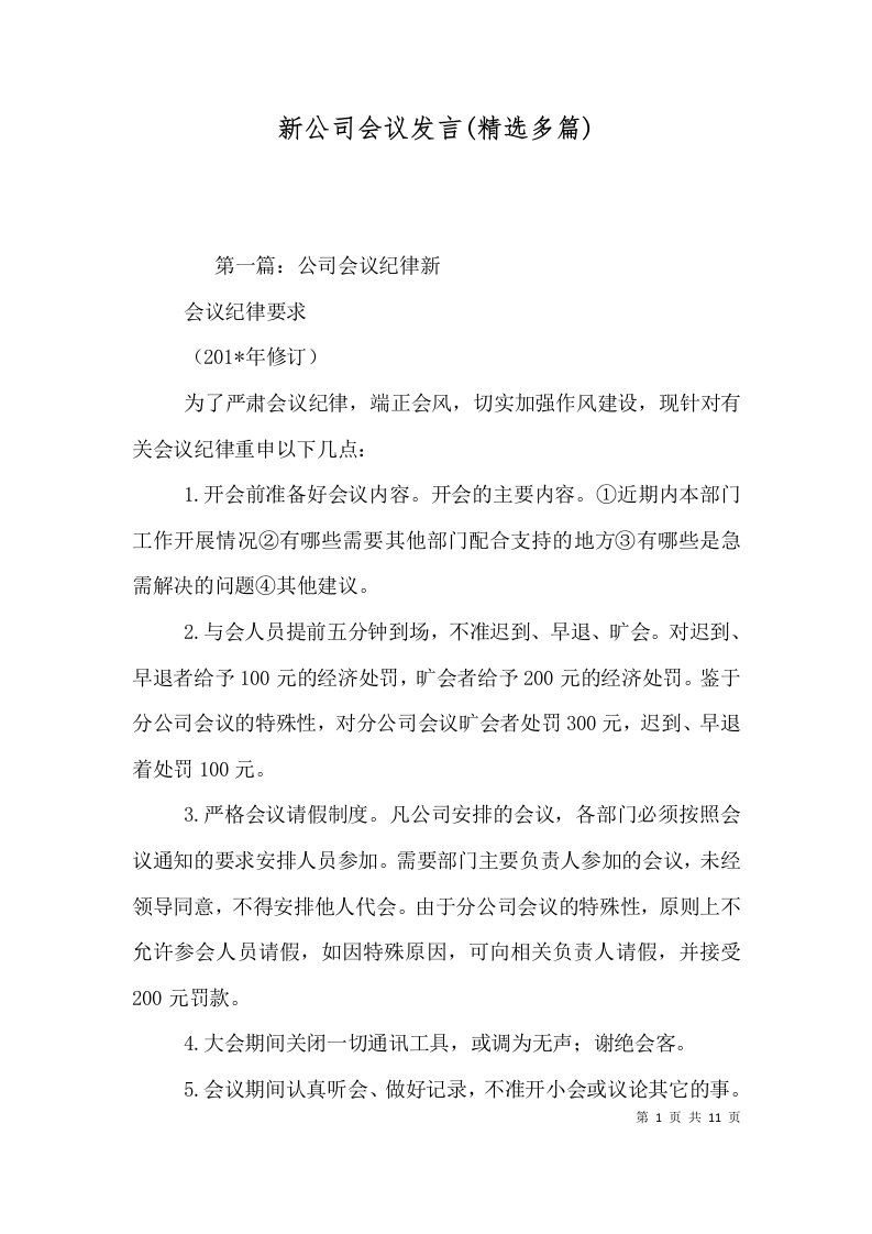 新公司会议发言(精选多篇)