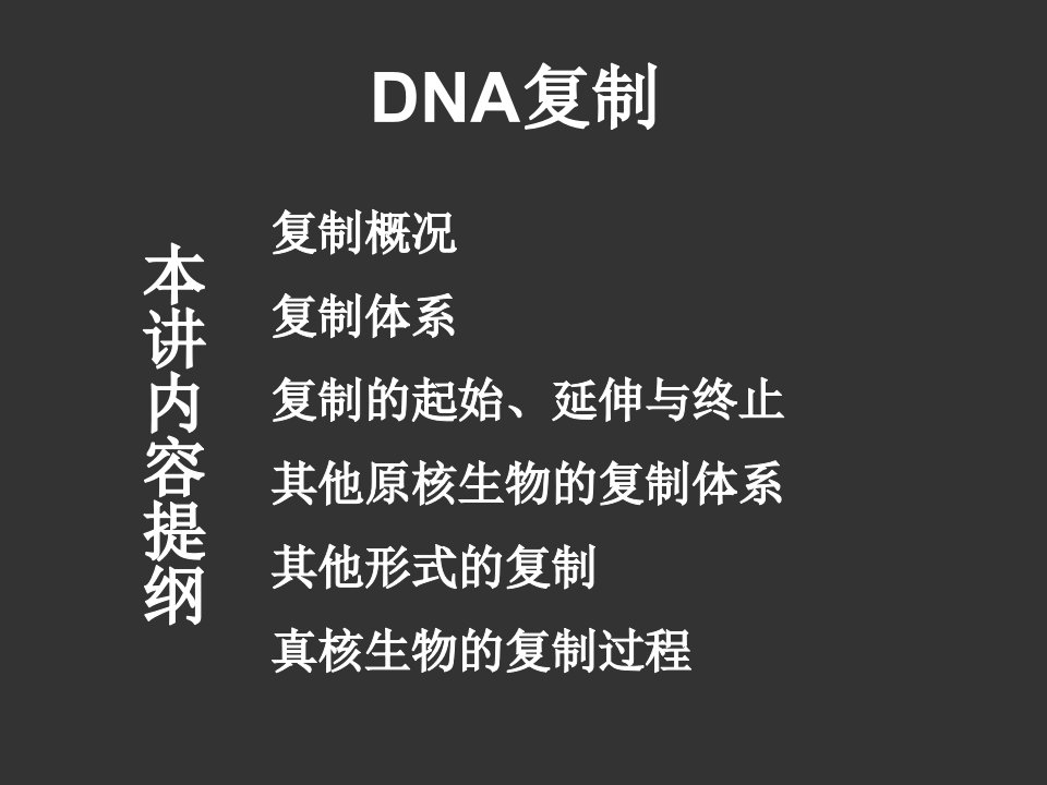 高中生物竞赛辅导课件—DNA复制1