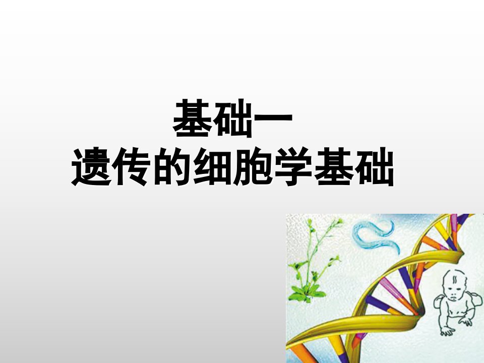 基础一遗传的细胞学基础教案资料