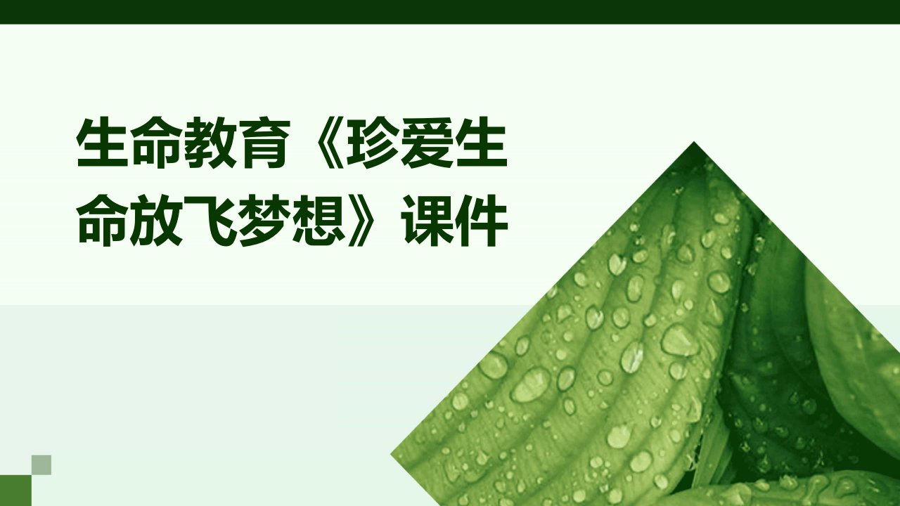 生命教育《珍爱生命放飞梦想》课件