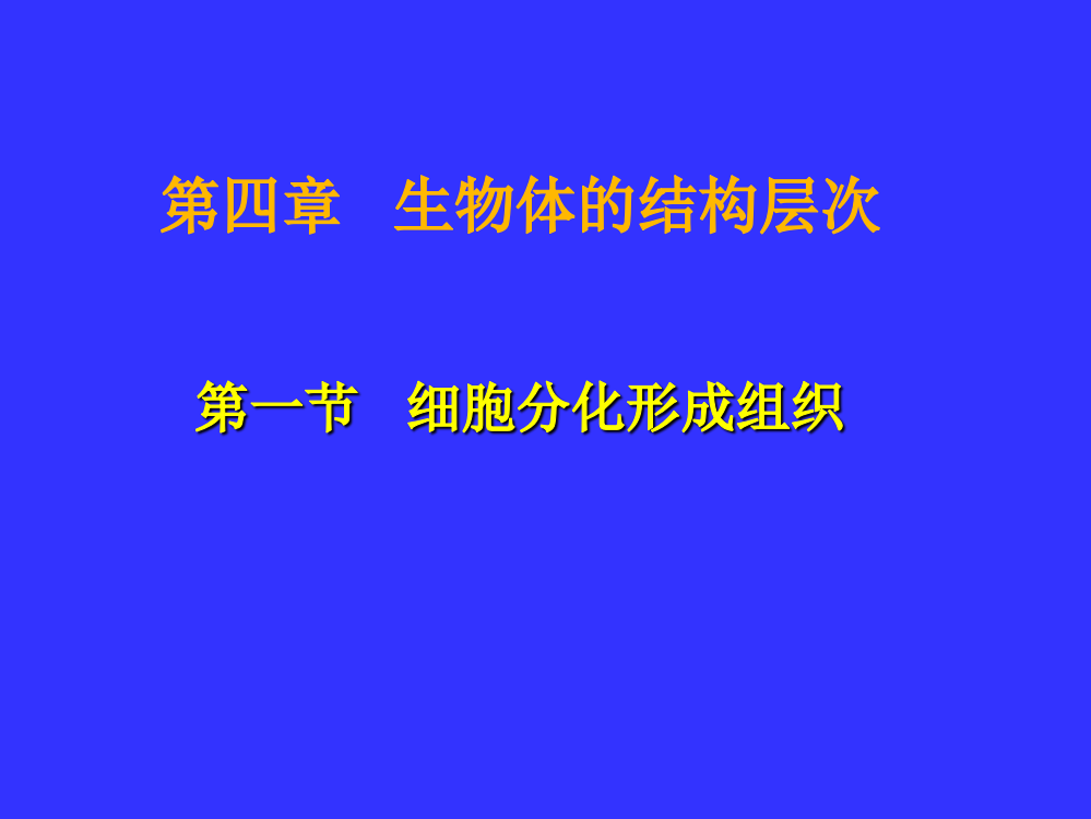 第四章复习课件1