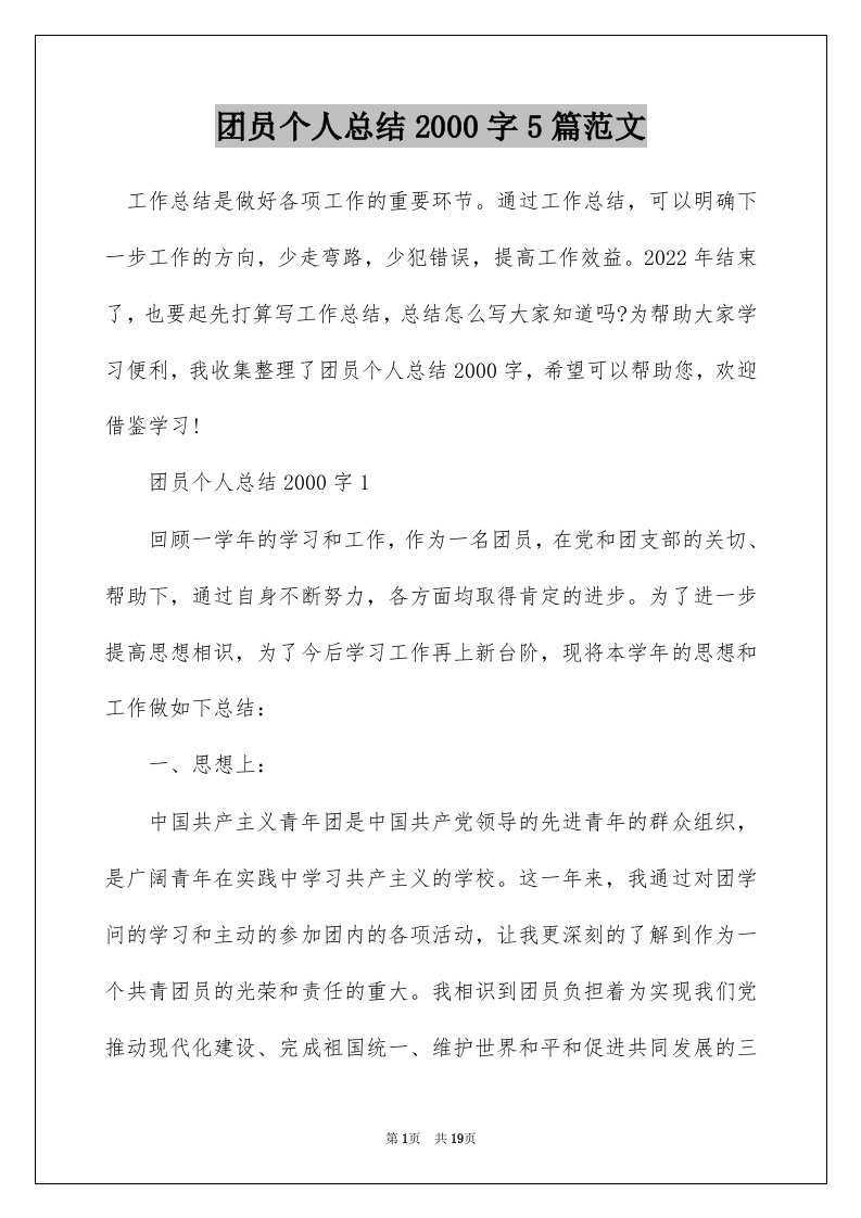 团员个人总结2000字5篇范文