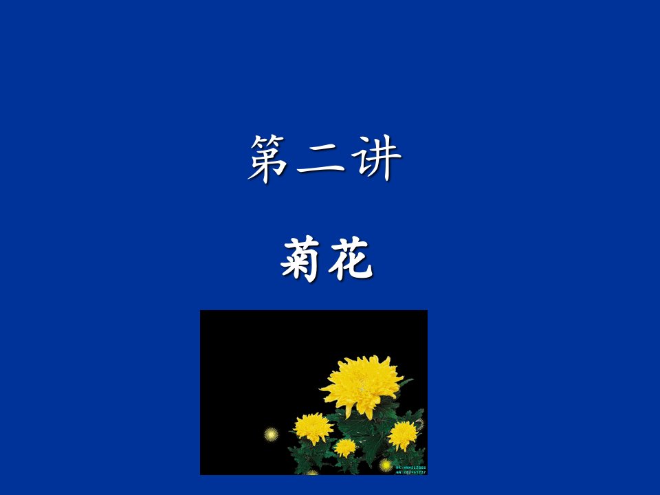 菊花栽培技术优质课件