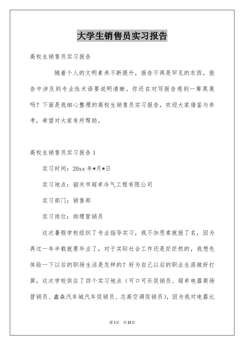 大学生销售员实习报告例文