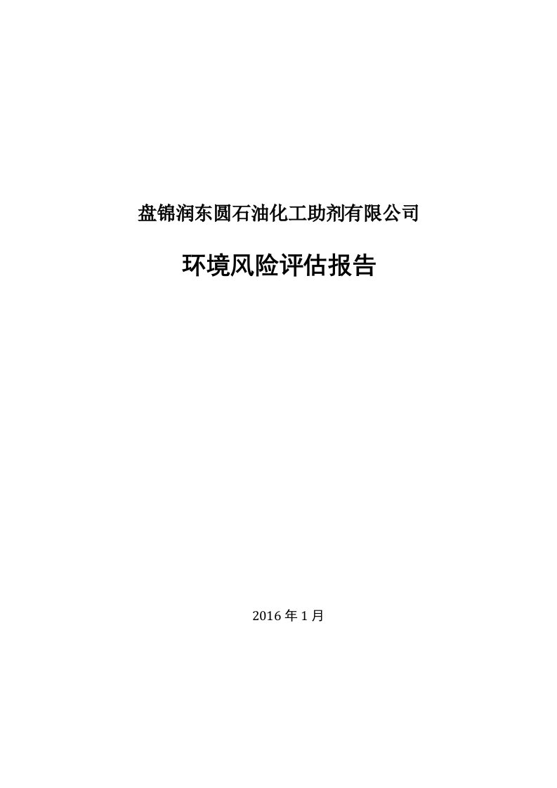 精选润东圆环境风险评估报告