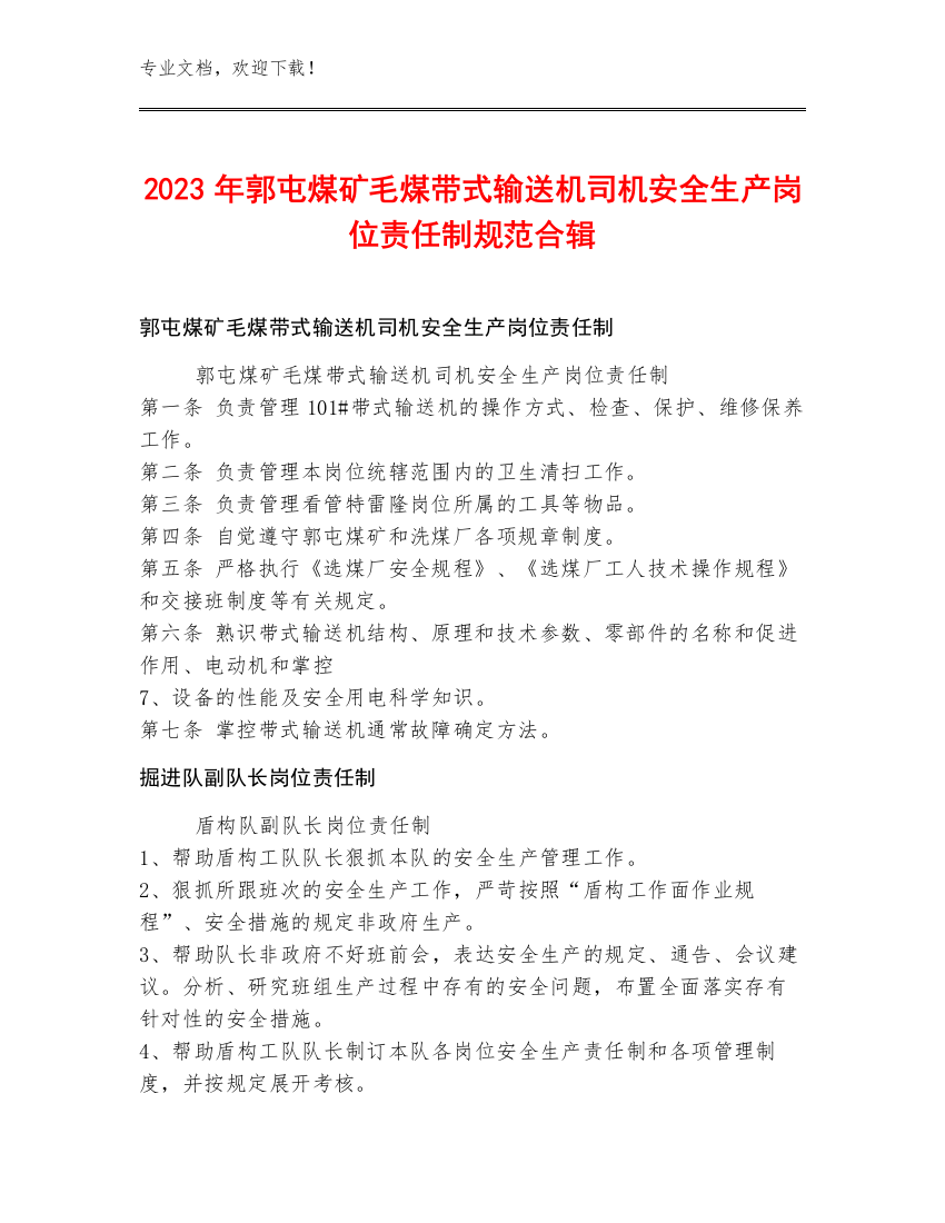 2023年郭屯煤矿毛煤带式输送机司机安全生产岗位责任制规范合辑