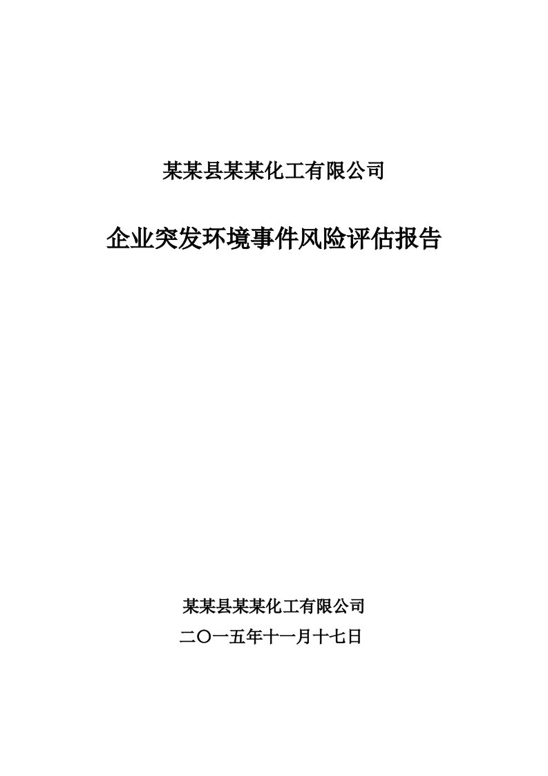 能源化工-某某化工有限公司环境风险评估报告