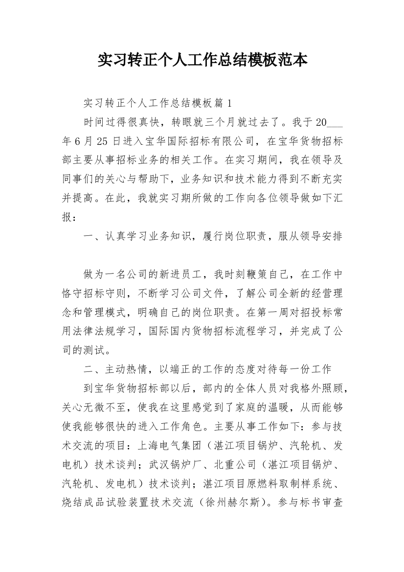 实习转正个人工作总结模板范本