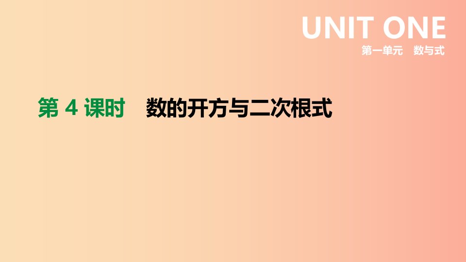 2019年中考数学专题复习第一单元数与式第04课时数的开方与二次根式课件