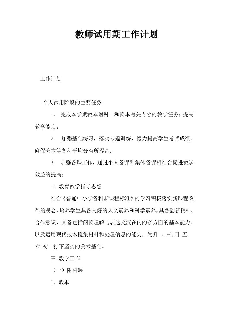 教师试用期工作计划