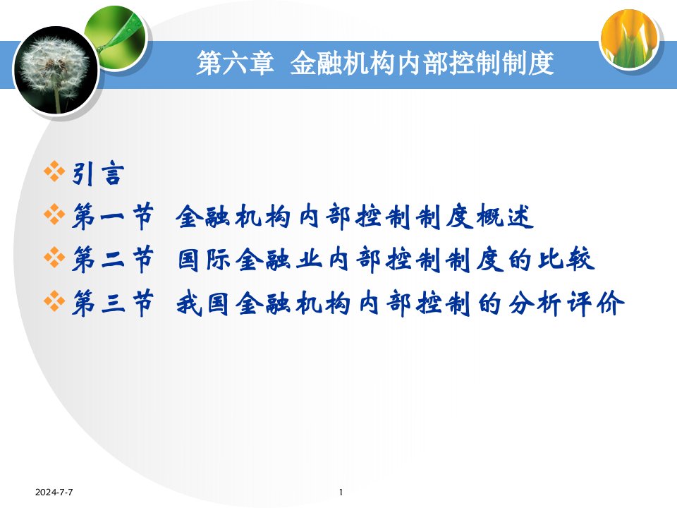 金融监管第六章金融机构内部控制制度