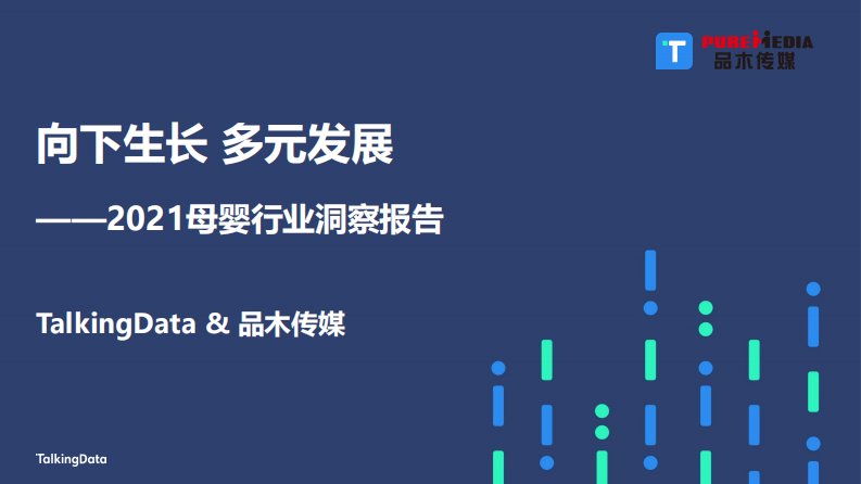 TalkingData-2021母婴行业洞察报告-20220304