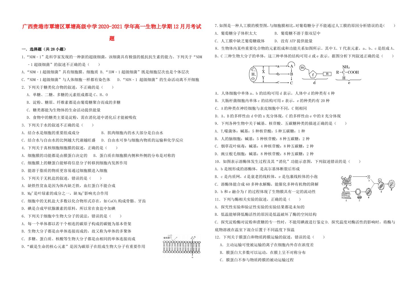 广西贵港市覃塘区覃塘高级中学2020_2021学年高一生物上学期12月月考试题