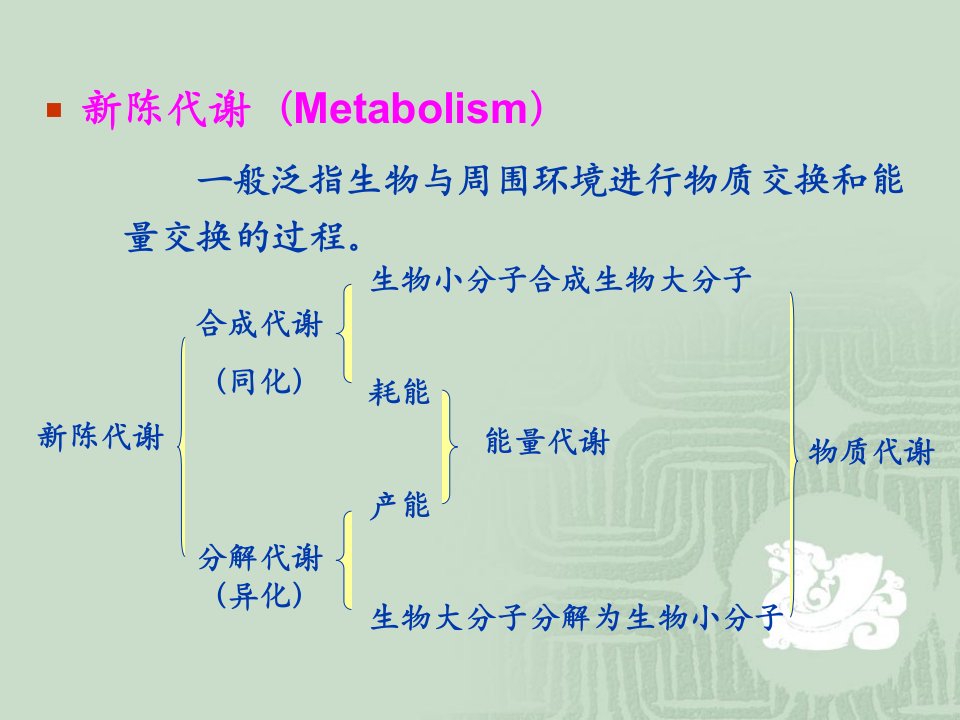 最新微生物的代谢精美课件PPT课件