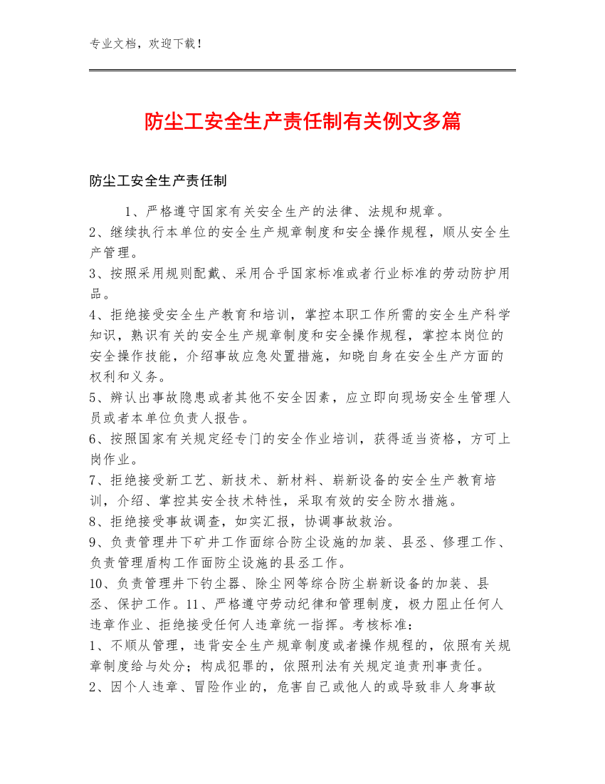 防尘工安全生产责任制例文多篇