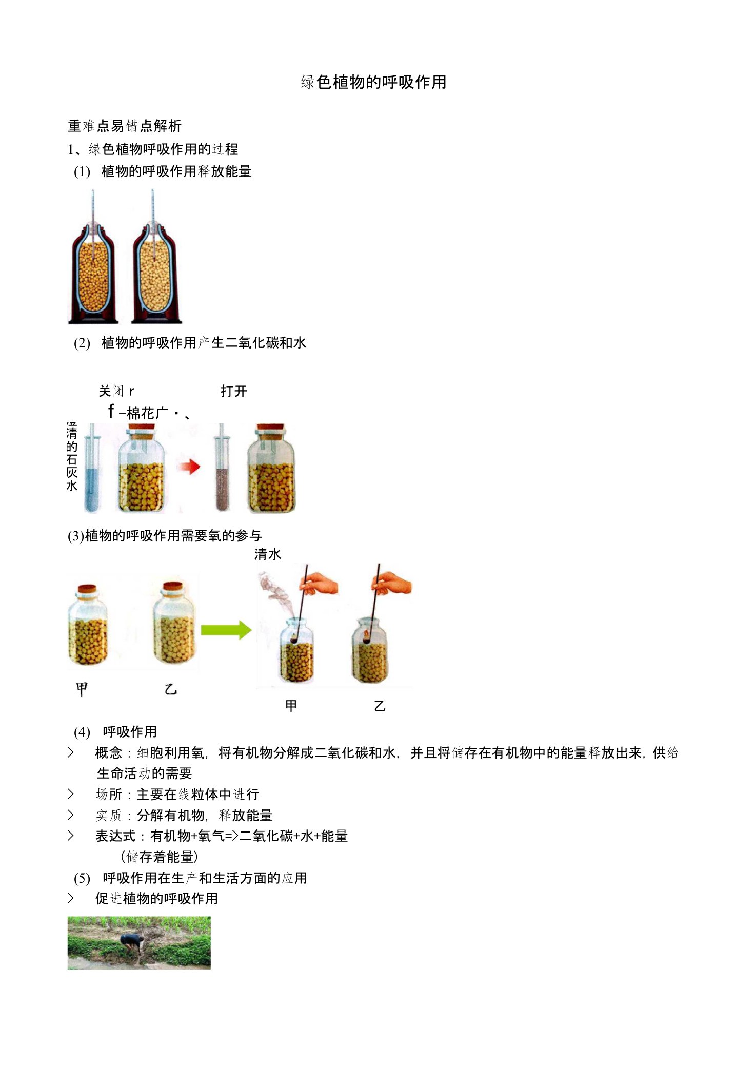 人教版生物七年级上册第三单元绿色植物的呼吸作用--讲义