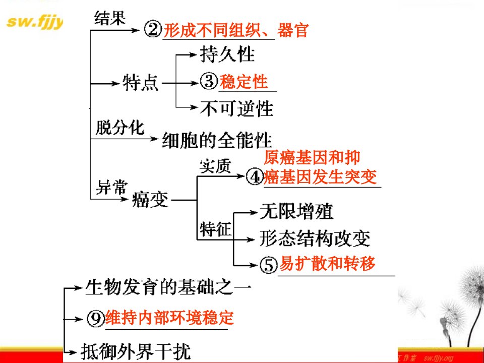 生物二轮专题复习知识专题学案细胞的分化衰老凋亡和癌变PPT课件