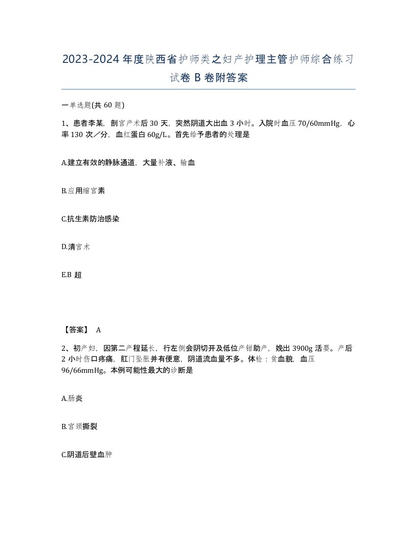 2023-2024年度陕西省护师类之妇产护理主管护师综合练习试卷B卷附答案