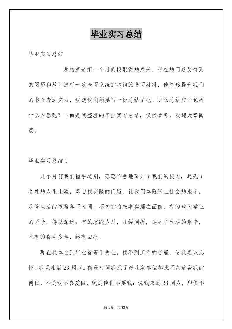 毕业实习总结例文7