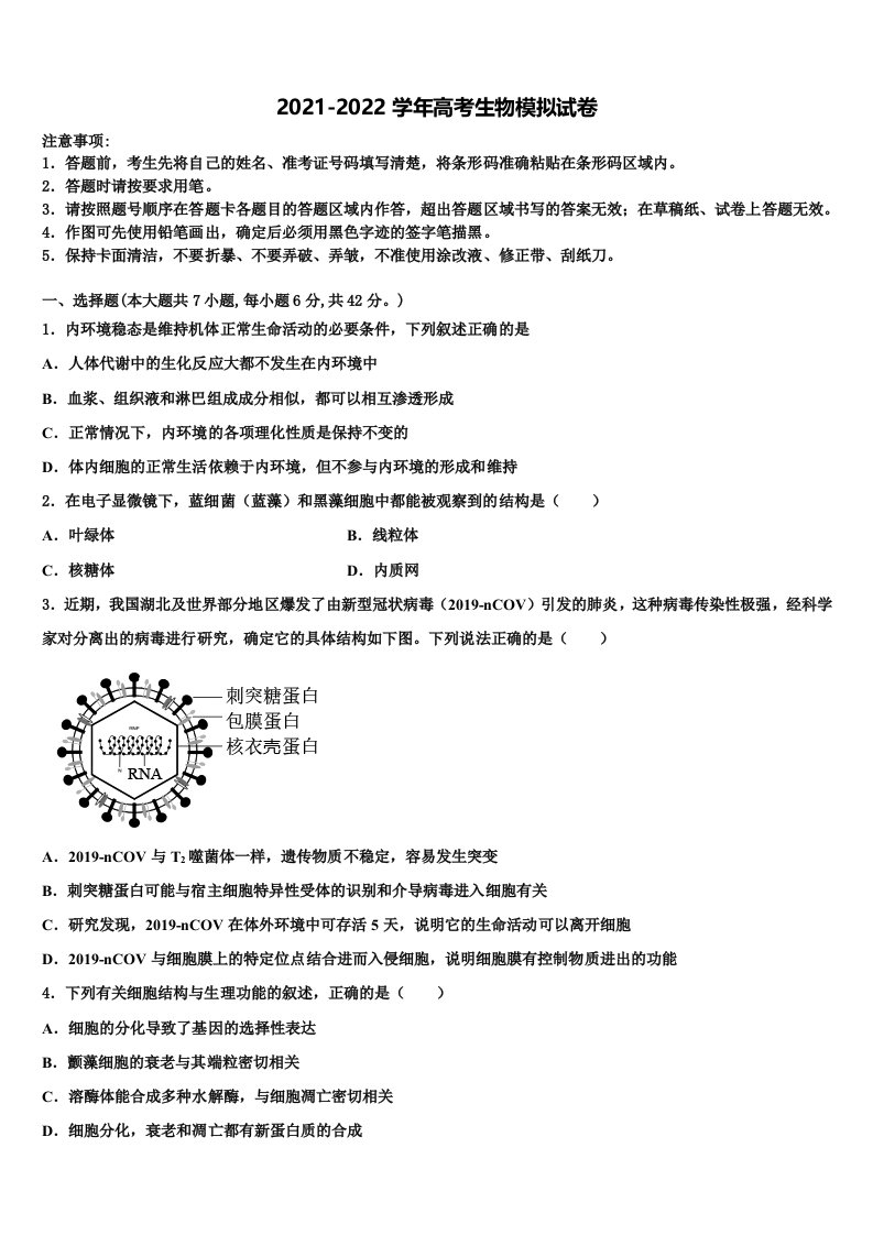 2022年石家庄市第四十中学高三第二次模拟考试生物试卷含解析