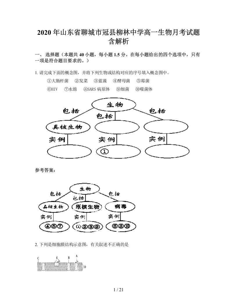 2020年山东省聊城市冠县柳林中学高一生物月考试题含解析