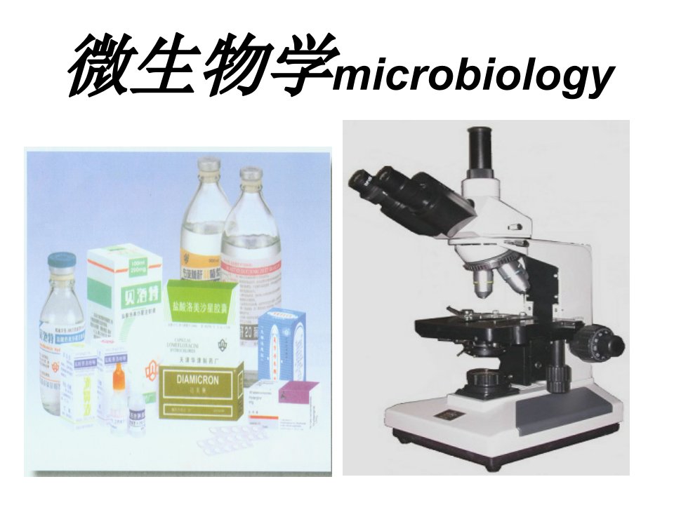 微生物学PP课件