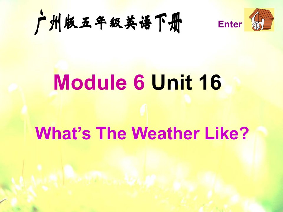 广州版小学英语五年级下册Module6